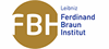 Firmenlogo: Ferdinand-Braun-Institut